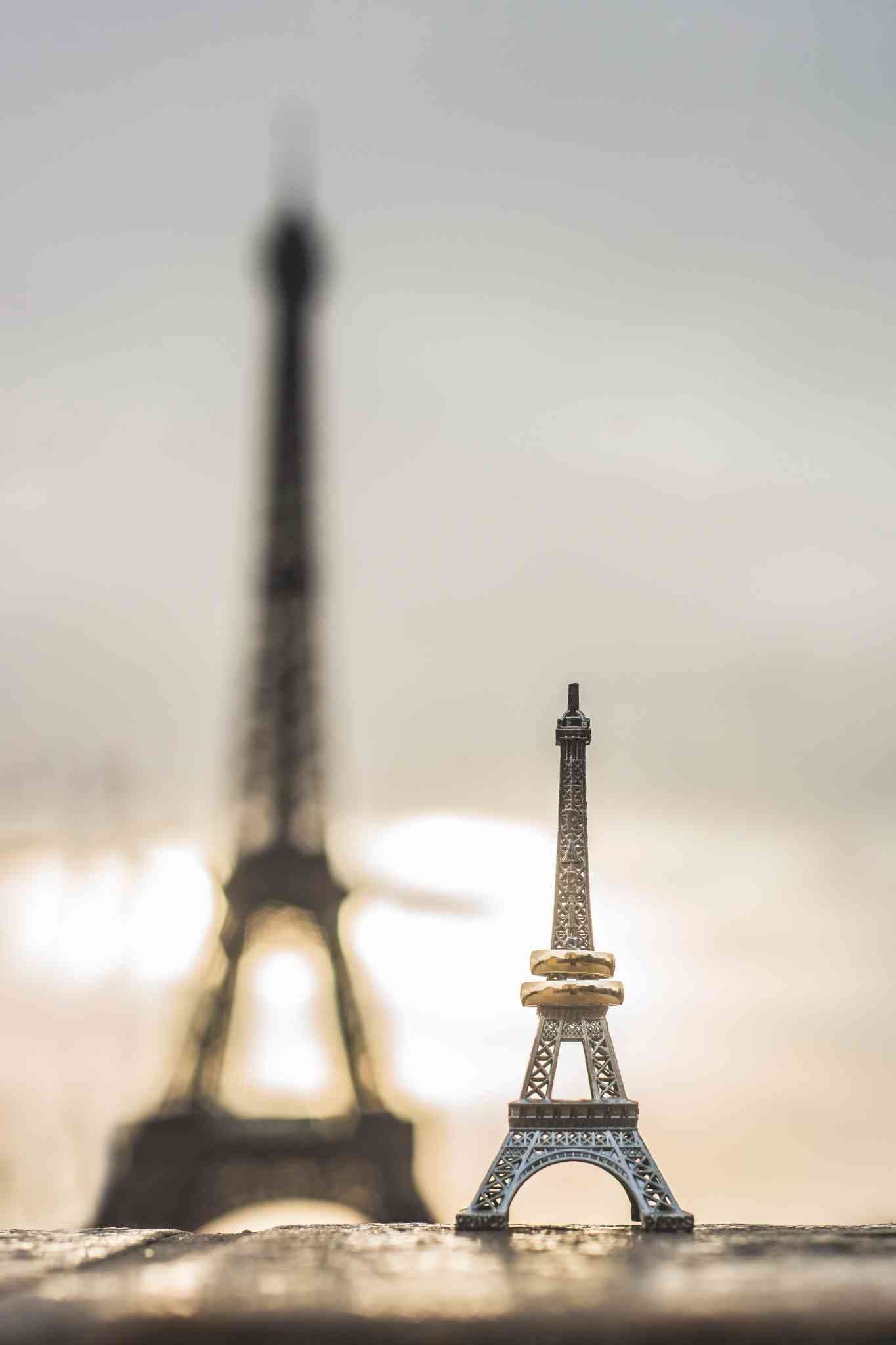 paris photo