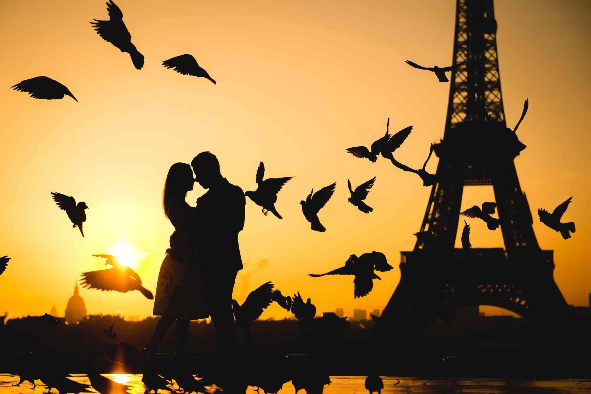 paris photo